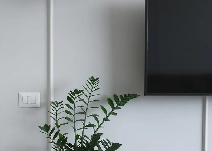 Downtown Cozy Apartament